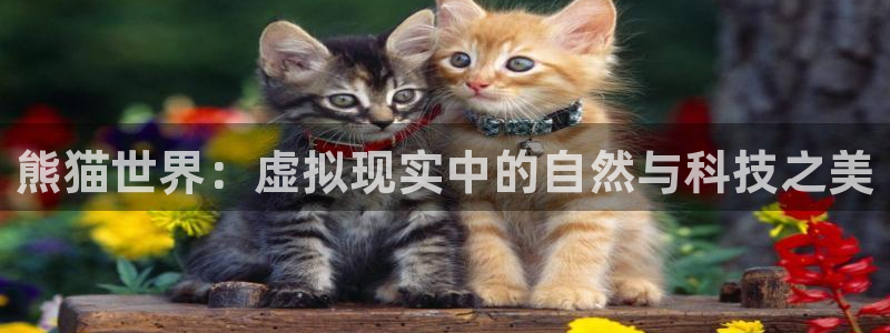 pg电子游戏破解