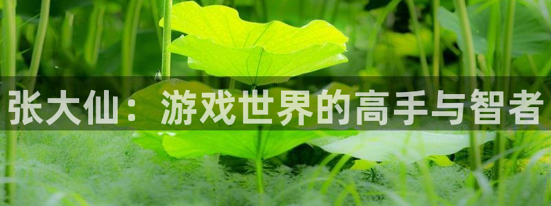 pg电子试玩网站：张大仙：游戏世界的高手与智者